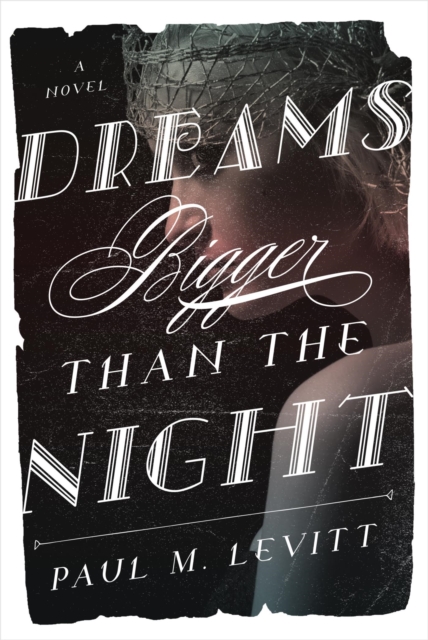 Book Cover for Dreams Bigger Than the Night by Paul M. Levitt