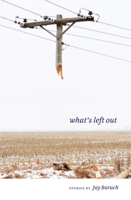 Book Cover for What's Left Out by Baruch, Jay