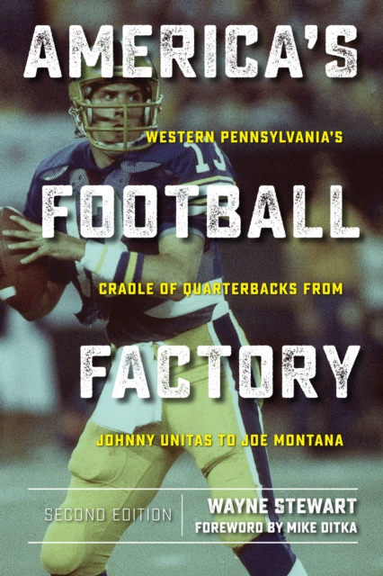 Book Cover for America's Football Factory by Stewart, Wayne