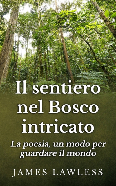 Book Cover for Il Sentiero Nel Bosco Intricato by James Lawless