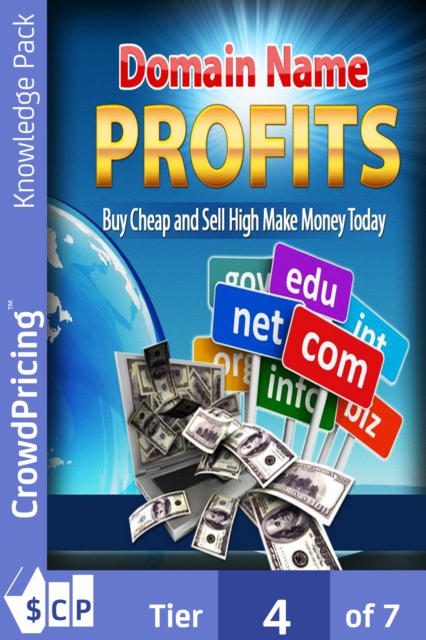 Book Cover for Domain name profits by John Hawkins