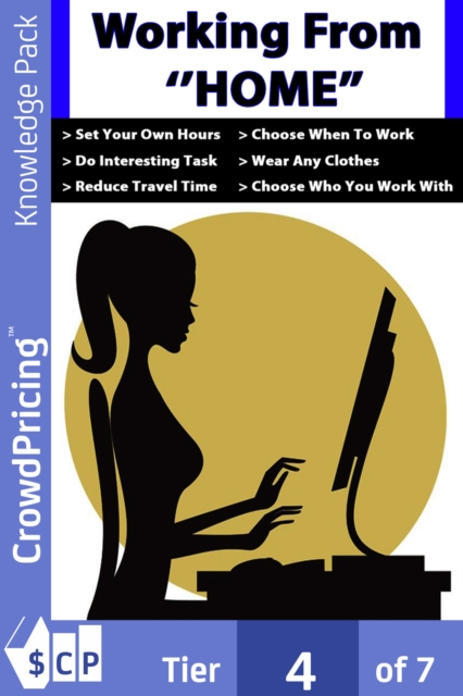Book Cover for Working From Home by John Hawkins