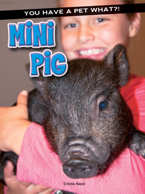 Book Cover for Mini Pig by Reed, Cristie