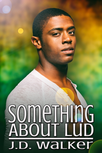 Book Cover for Something About Lud by J.D. Walker