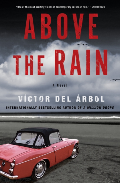 Book Cover for Above the Rain by Victor del Arbol