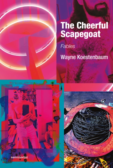 Book Cover for Cheerful Scapegoat by Wayne Koestenbaum