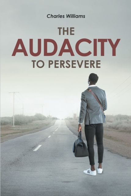 Book Cover for Audacity To Persevere by Charles Williams