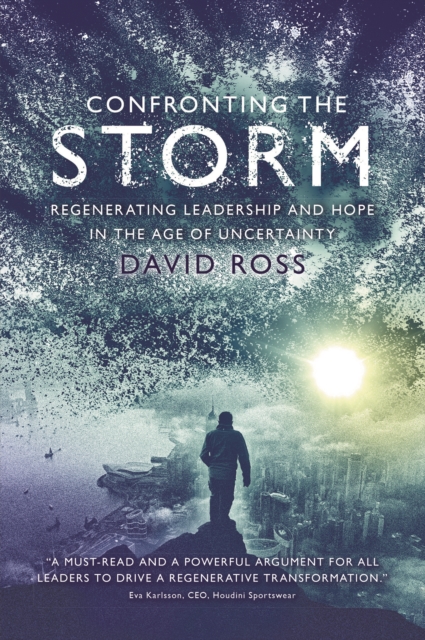 Book Cover for Confronting the Storm by David Ross