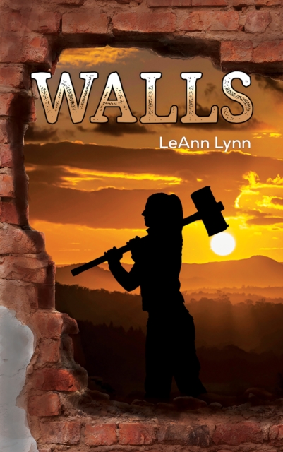 Book Cover for Walls by LeAnn Lynn