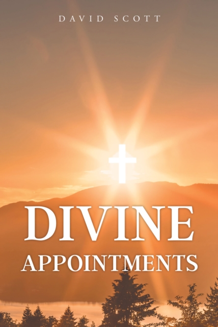 Book Cover for Divine Appointments by Scott, David