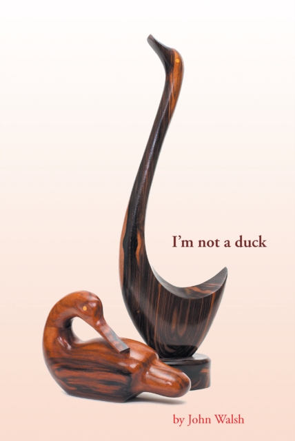 Book Cover for I'm not a duck by John Walsh