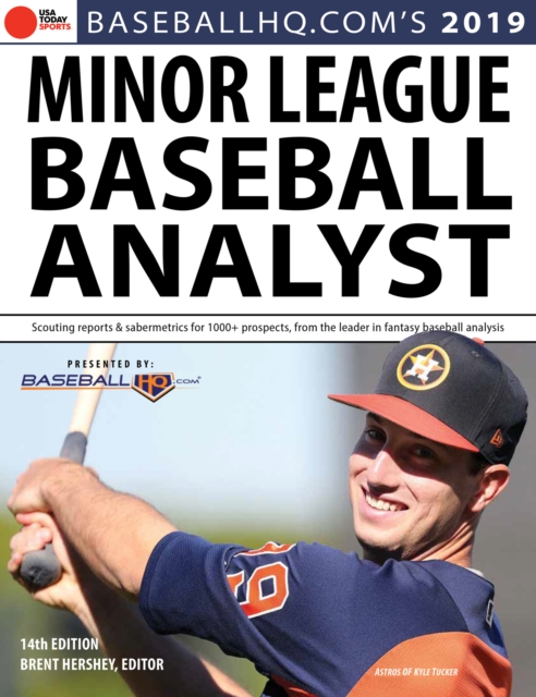 Book Cover for 2019 Minor League Baseball Analyst by Rob Gordon, Jeremy Deloney