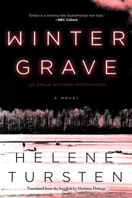 Book Cover for Winter Grave by Helene Tursten