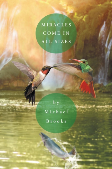 Book Cover for Miracles Come in All Sizes by Michael Brooks