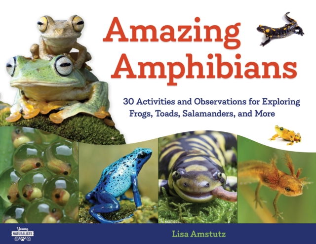 Book Cover for Amazing Amphibians by Amstutz, Lisa J.