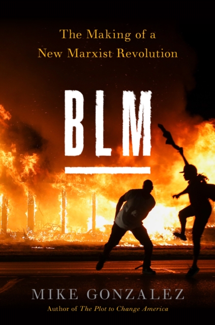 Book Cover for BLM by Mike Gonzalez