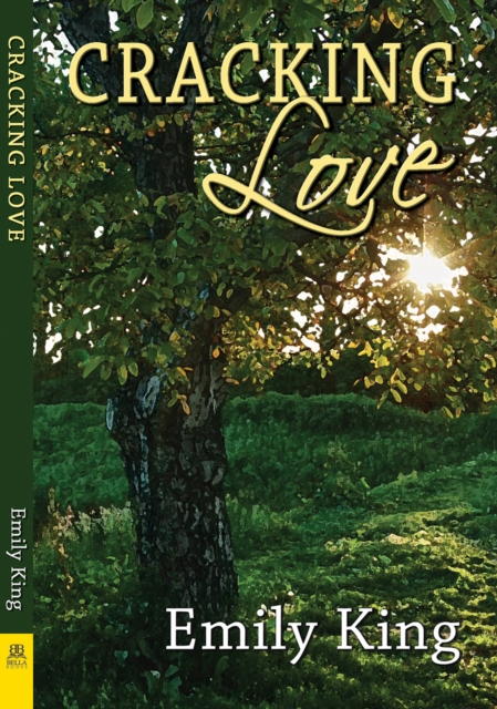 Book Cover for Cracking Love by Emily King