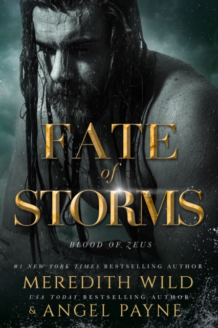 Book Cover for Fate of Storms by Meredith  Wild, Angel Payne