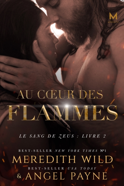 Book Cover for Au Coeur Des Flammes by Meredith Wild, Angel Payne