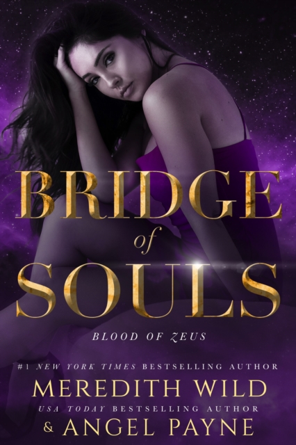 Book Cover for Bridge of Souls by Meredith  Wild, Angel Payne