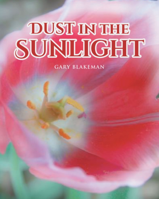 Book Cover for Dust in the Sunlight by Gary Blakeman