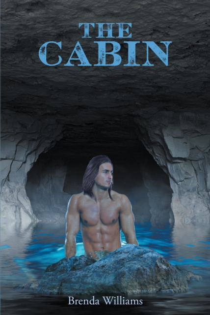 Book Cover for Cabin by Brenda Williams