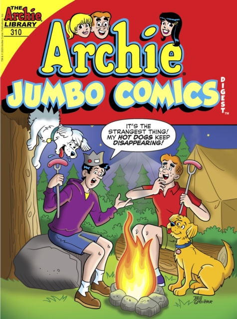 Book Cover for Archie Double Digest #310 by Archie Superstars