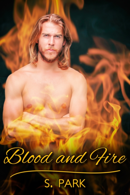 Book Cover for Blood and Fire by S. Park