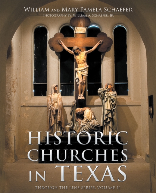 Book Cover for Historic Churches in Texas by William