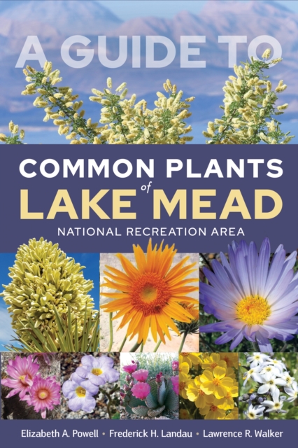 Book Cover for Guide to Common Plants of Lake Mead National Recreation Area by Powell Elizabeth A. Powell, Landau Frederick H. Landau, Walker Lawrence R. Walker