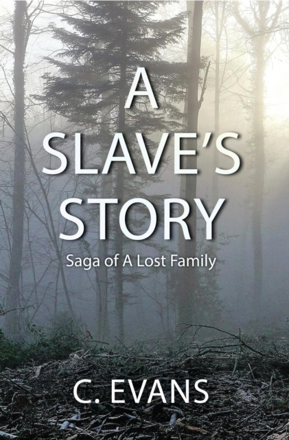 Book Cover for Slave's Story by C. Evans