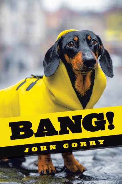 Book Cover for Bang! by John Corry