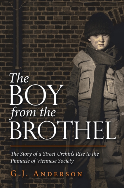 Book Cover for Boy from the Brothel by G.J. Anderson