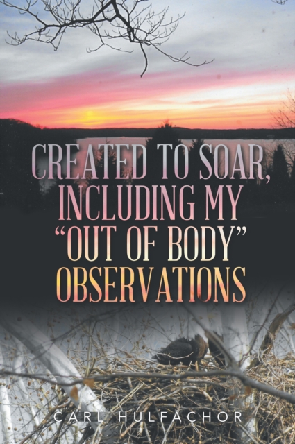 Book Cover for Created to Soar, Including My &quote;Out of Body&quote; Observations by Carl Hulfachor