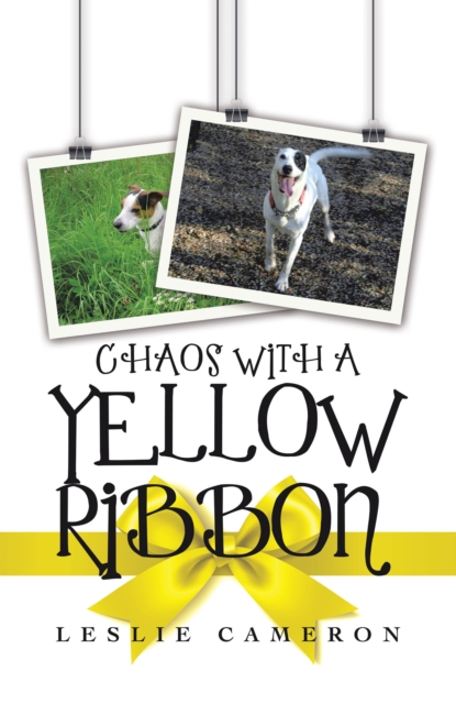 Book Cover for Chaos with a Yellow Ribbon by Leslie Cameron
