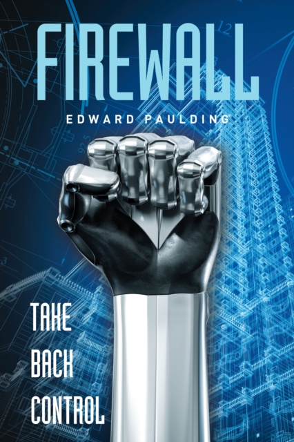 Book Cover for Firewall by Edward Paulding