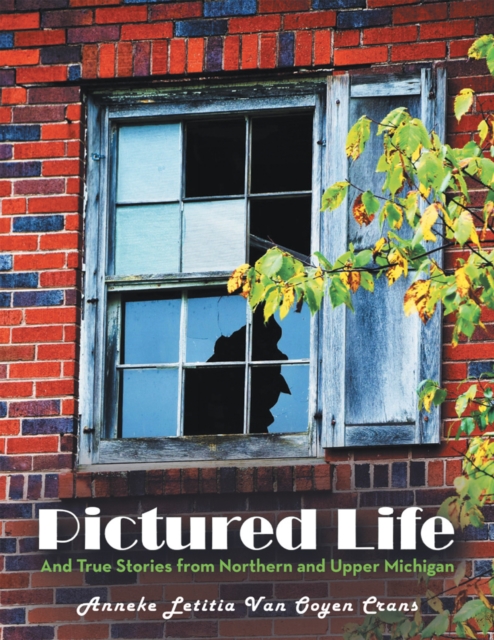 Book Cover for Pictured Life by Anneke Letitia Van Ooyen Crans