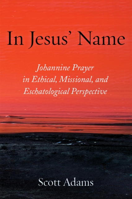 Book Cover for In Jesus' Name by Scott Adams