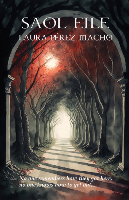 Book Cover for Saol Eile by Laura Perez Macho