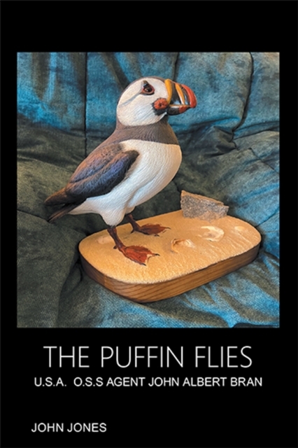 Book Cover for Puffin Flies by John Jones