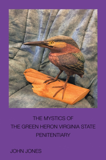 Book Cover for Mystics of the Green Heron by John Jones