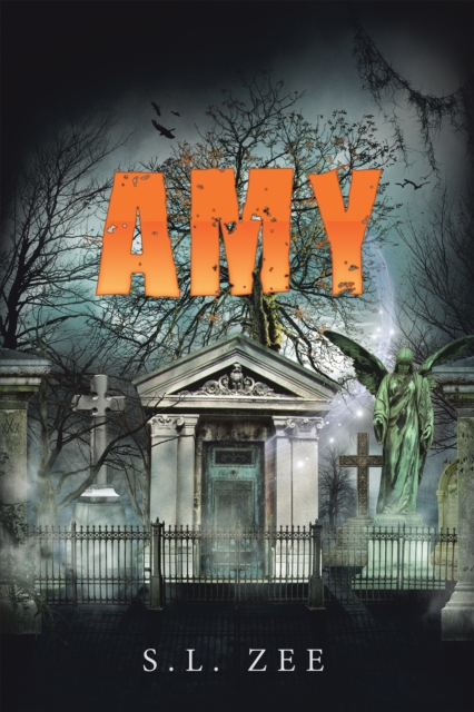 Book Cover for Amy by S.L. Zee