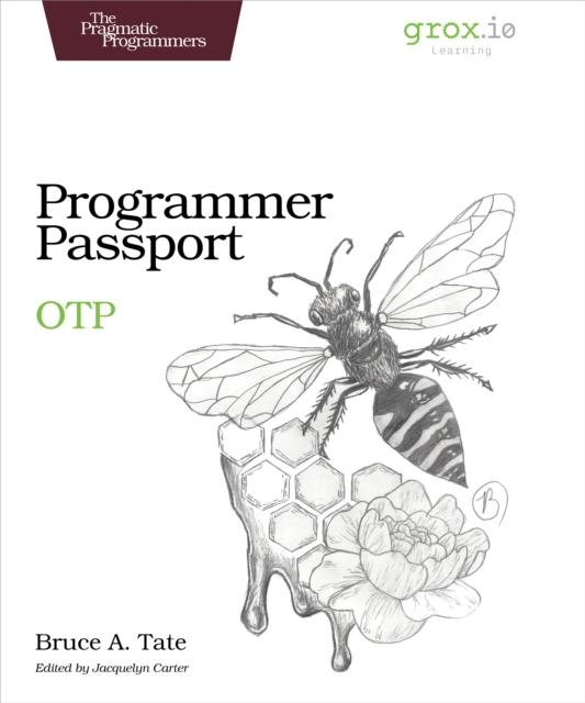 Book Cover for Programmer Passport: OTP by Bruce Tate