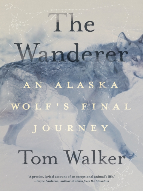 Book Cover for Wanderer by Tom Walker