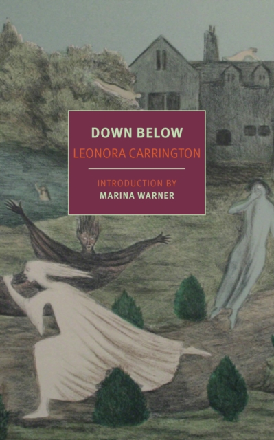 Book Cover for Down Below by Leonora Carrington
