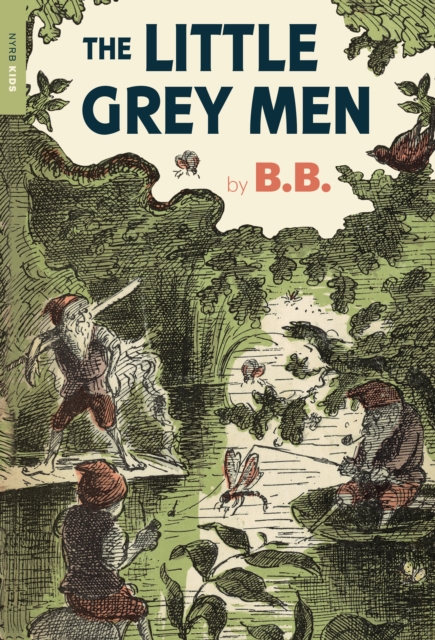Book Cover for Little Grey Men by B.B.