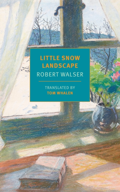 Book Cover for Little Snow Landscape by Robert Walser