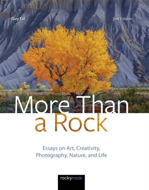 Book Cover for More Than a Rock, 2nd Edition by Tal, Guy