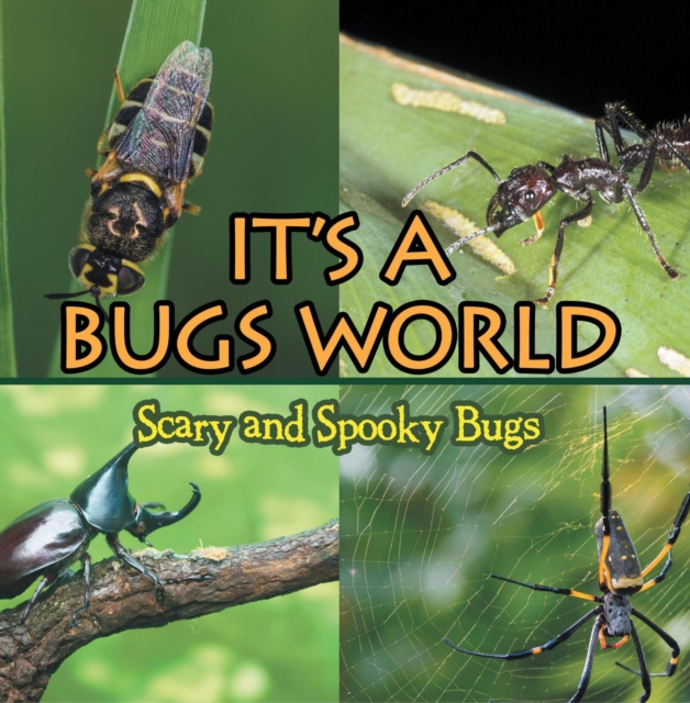 Book Cover for Its A Bugs World: Scary and Spooky Bugs by Professor, Baby