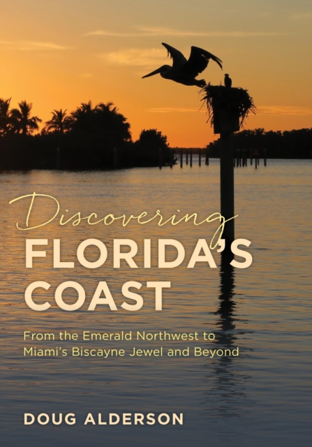 Book Cover for Discovering Florida's Coast by Doug Alderson